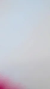 双飞母狗