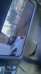 车里口交