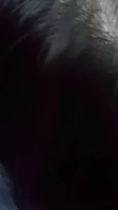 新人多关照 和朋友的老婆车震  好东西看简件